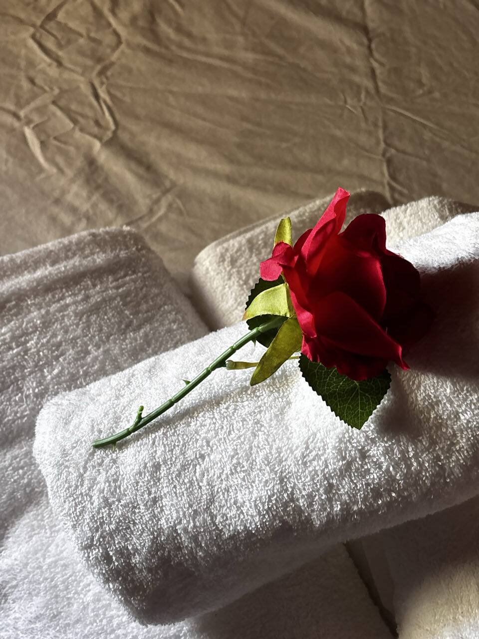 Rosa colocada sobre toallas de baño dobladas